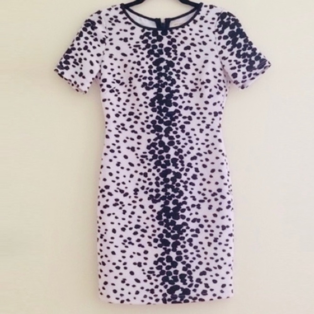 Arden B Black & White Dalmatian Bodycon Dress